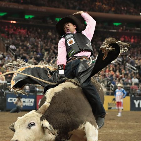 Bull Riding  Basic Rules and Tips