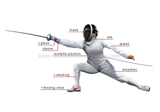 Fencing Rules