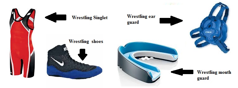 Freestyle Wrestling Rules