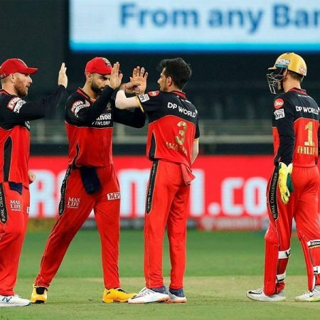 SRH kept their composure and bowled well: Virat Kohli celebrates after Hyderabad beat the Royal Challengers Bangalore in a last-over thriller.