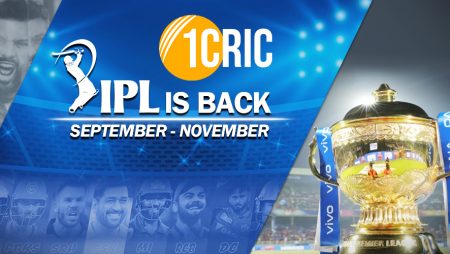 IPL PLAYOFF : CSK, DC, RCB qualify for the  playoff