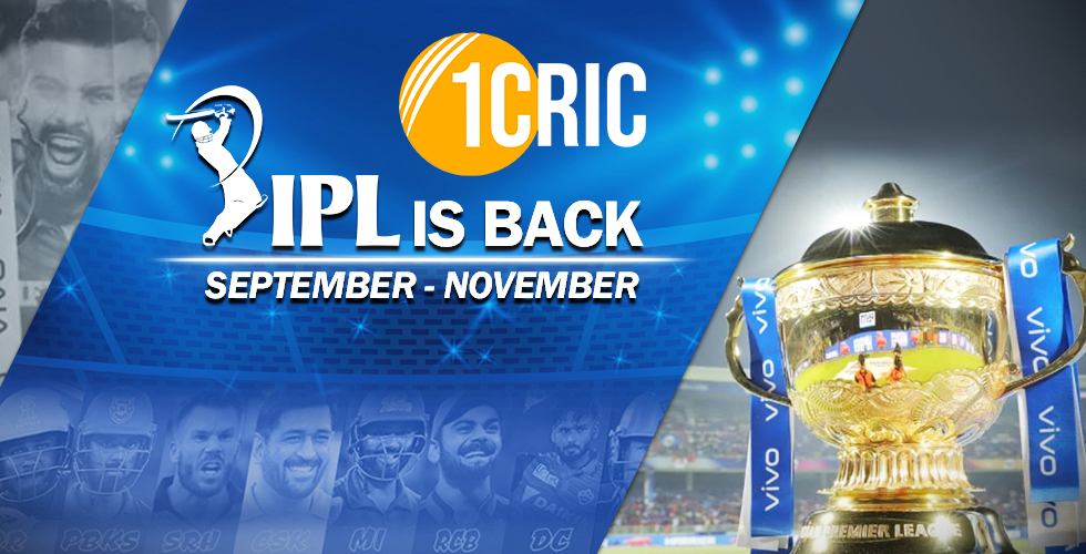 IPL PLAYOFF : CSK, DC, RCB qualify for the  playoff