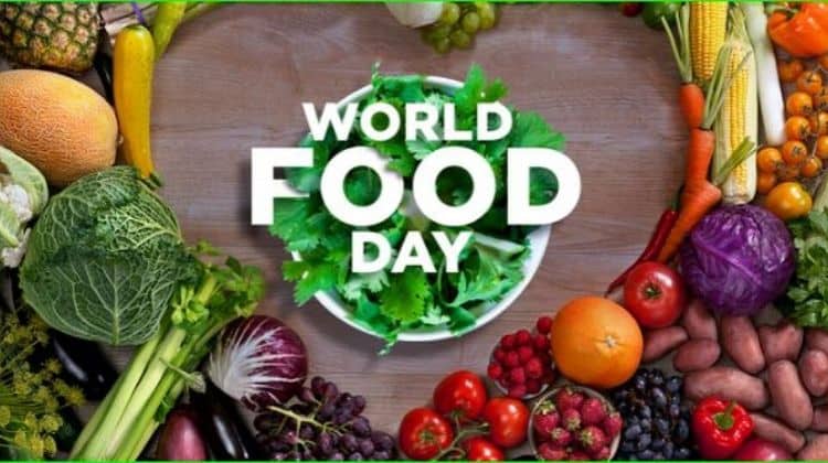 World Food Day 2021: Background, Importance, and Everything You Need to Know