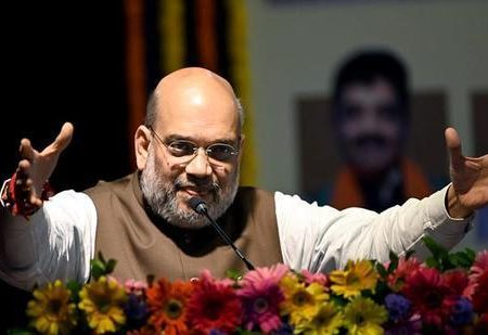 Amit Shah to Goa BJP Workers: ‘Could Build Ram Mandir & Revoke Article 370 Due To Full Majority’