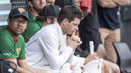 Cricket Tasmania is enraged by Cricket Australia’s treatment of Tim Paine.