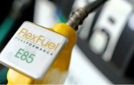 Nitin Gadkari would instruct automakers to develop flex-fuel engines.