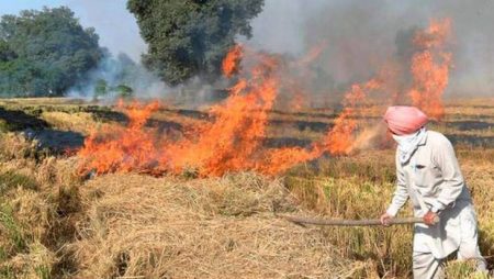 The Supreme Court ruled that Stubble Burning contributes just 10% to air pollution.