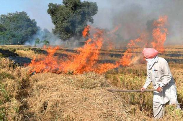 The Supreme Court ruled that Stubble Burning contributes just 10% to air pollution.