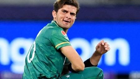 Before returning to cricket play, Shaheen Afridi gave hitters the advice, “Calm before the storm.”